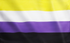 Non-Binary vlag 100x150cm, zware kwaliteit doek