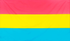 Pan Sexual vlag 70x100cm, zware kwaliteit doek