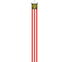 Nordholland-Wimpel mit Stab 300 cm