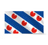 Friesland 90x150 cm basic Flag